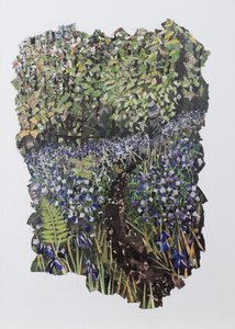 Bosco di campanule da Kirstie Adamson